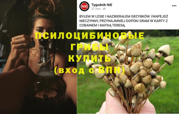 эйфоретик Балахна