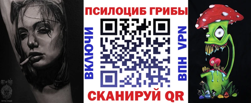 Псилоцибиновые грибы Psilocybe  купить наркотик  Корсаков 